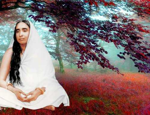 પ્રાસંગિક : વાત્સલ્ય-રૂપિણી મા શારદા : સ્વામી શાંતાનંદ