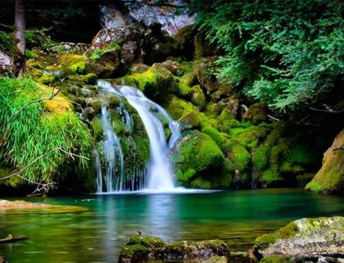 કાવ્ય : સૌન્દર્યનું ગાણું : મકરંદ દવે