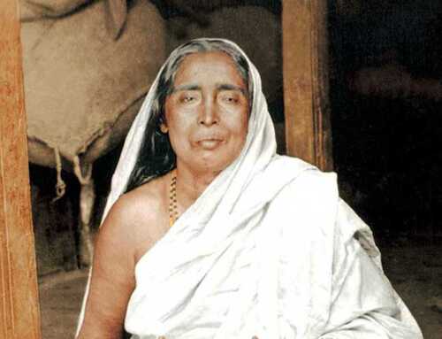 પ્રાસંગિક : કરુણામયી મા : સ્વામી વિરજાનંદ