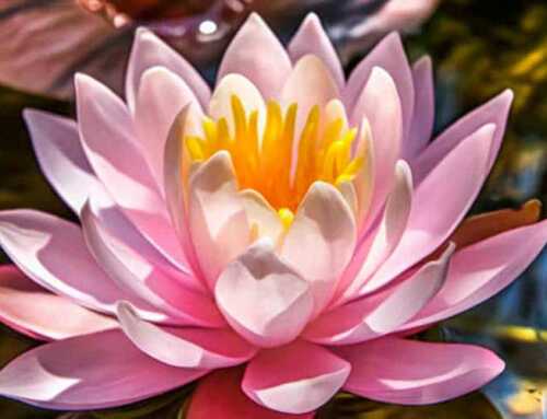 અધ્યાત્મ : પ્રેમમૂર્તિ ભરત : સ્વામી મેધજાનંદ