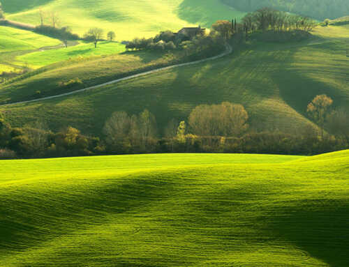 પ્રાસંગિક : અવધૂતના ચોવીસ ગુરુ : સ્વામી ગીતાનંદ