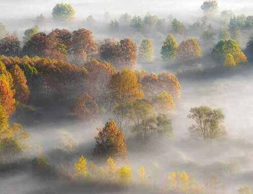 પ્રાસંગિક : સ્વામી વિવેકાનંદ સાથેના અવિસ્મરણીય દિવસો : સ્વામી વિરજાનંદ