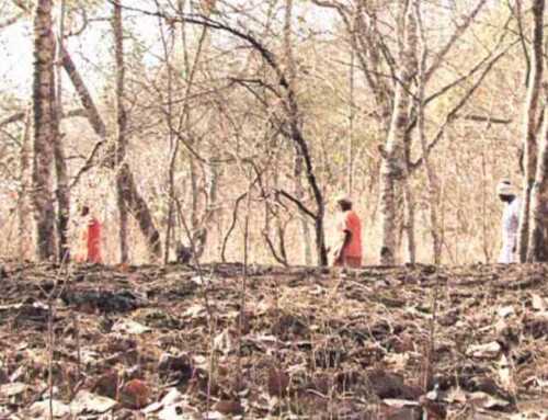 દીપોત્સવી : દુઃખ અને અશાંતિનું મૂળ : સ્વામી સત્યરૂપાનંદ