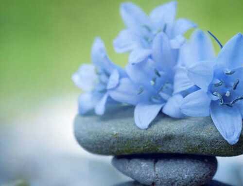 યુવજગત : ચારિત્ર્ય ગયું તો બધું જ ગયું! : સ્વામી સત્યરૂપાનંદ