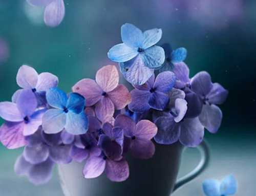 પુષ્પે પુષ્પે પરિમલ : ધૈર્યચન્દ્ર ર. બુદ્ધ