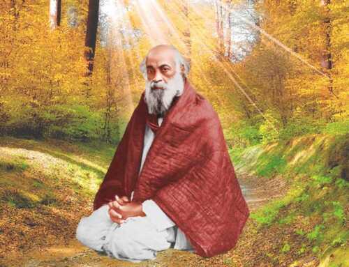 કથામૃતની અમીધારા : ગૃહસ્થ ભક્તોને ઉપદેશ : મહેન્દ્રનાથ ગુપ્ત ‘મ’