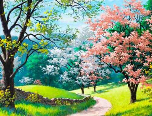 મારું સૌરાષ્ટ્રભ્રમણ (૭) : સ્વામી સિદ્ધિનાથાનંદ