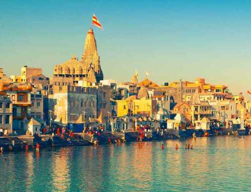 મારું સૌરાષ્ટ્રભમણ (૮) : સ્વામી સિદ્ધિનાથાનંદ