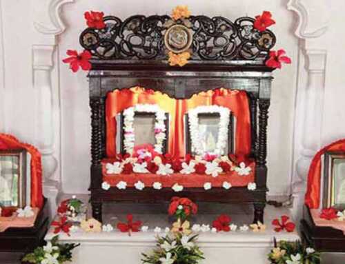 માતૃ-સાન્નિધ્યે : ત્યાગરૂપિણી મા શારદા : સ્વામી ઈશાનાનંદ