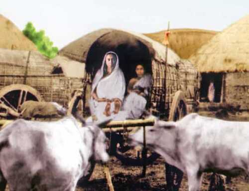 માતૃસાન્નિધ્યે : સોનાથી મઢેલા હાથીના દાંત : સ્વામી ઈશાનાનંદ