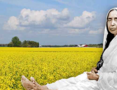 માતૃપ્રસંગ : “બેટા, ફરી આવજે” : સ્વામી ગૌરીશ્વરાનંદ