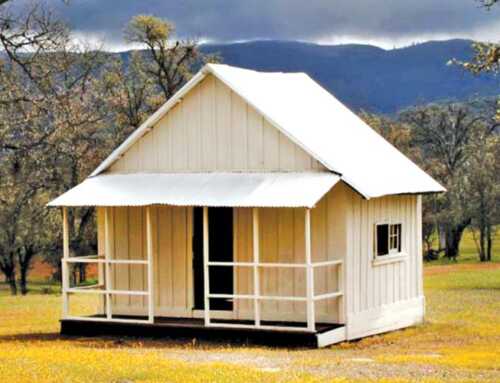 એક અમેરિકન વેદાંતીનાં સંસ્મરણો : સ્વામી તુરીયાનંદ મહારાજના સંગમાં : સ્વામી અતુલાનંદ